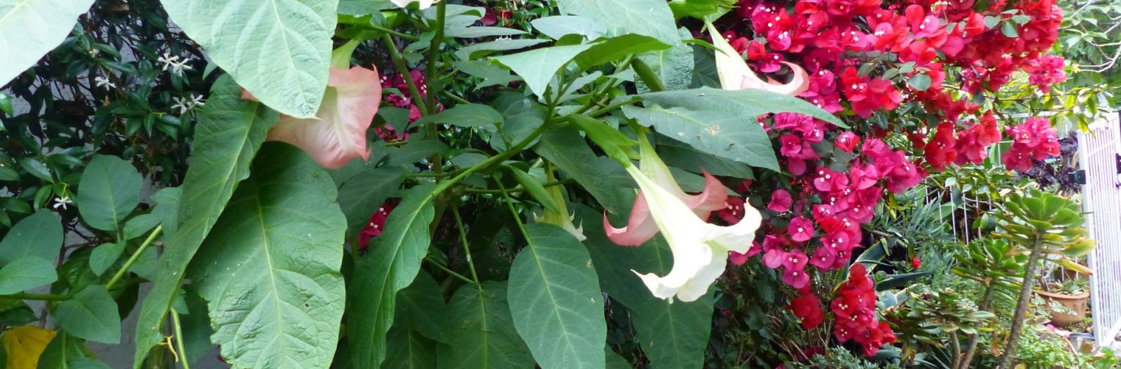 Home Ashcroft Gardens